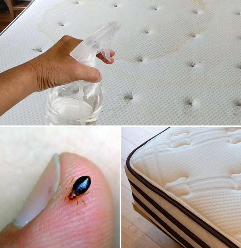 How to make a mattress disinfectant spray that will get rid of dust mites and other stains
