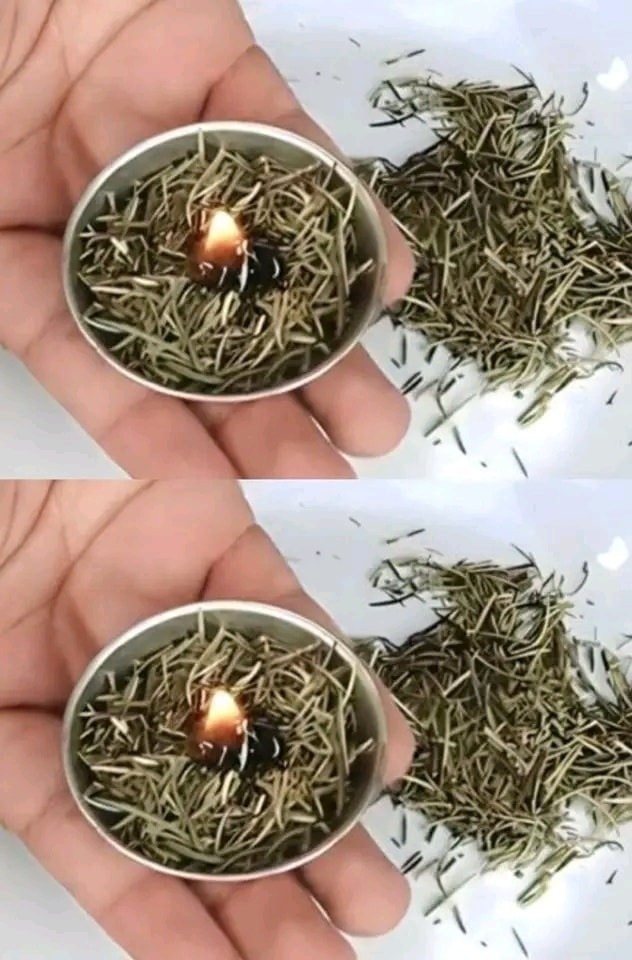 Try this at-home rosemary burner and see what occurs in a matter of minutes.