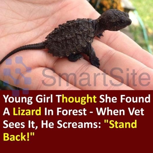 Young Girl Thought She Found A Lizard In Forest – When Vet Sees It, He Screams: “Stand Back!”